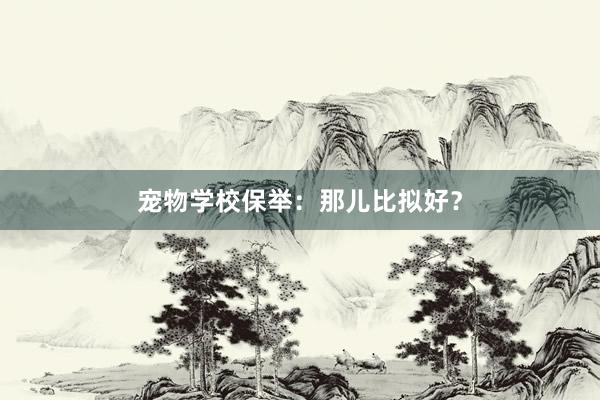 宠物学校保举：那儿比拟好？