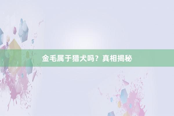 金毛属于猎犬吗？真相揭秘