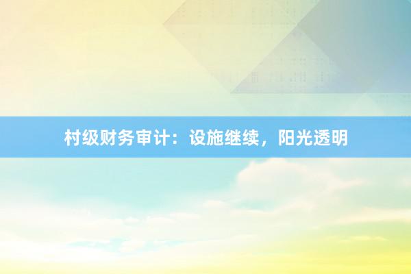 村级财务审计：设施继续，阳光透明